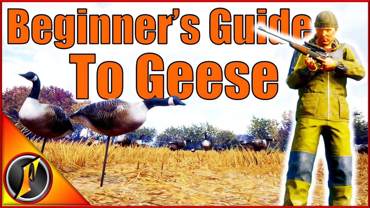 A Beginner's Guide to Hunting Geese! | Beginner Series Revamped
