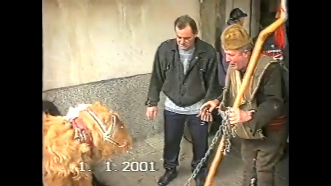 Сурва 2001 г в Симитли 1-ви квартал 2-2