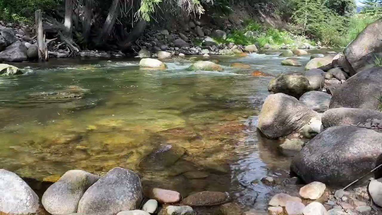 My trip to Colorado 
