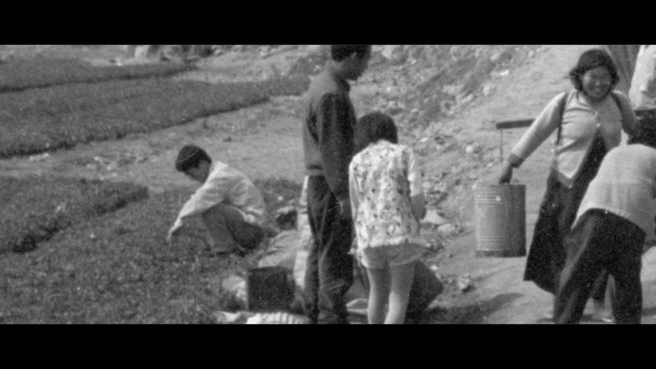 영화로 보는 광주대단지