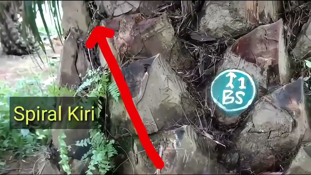 Tugas Video Proyek Dengan Tema 
