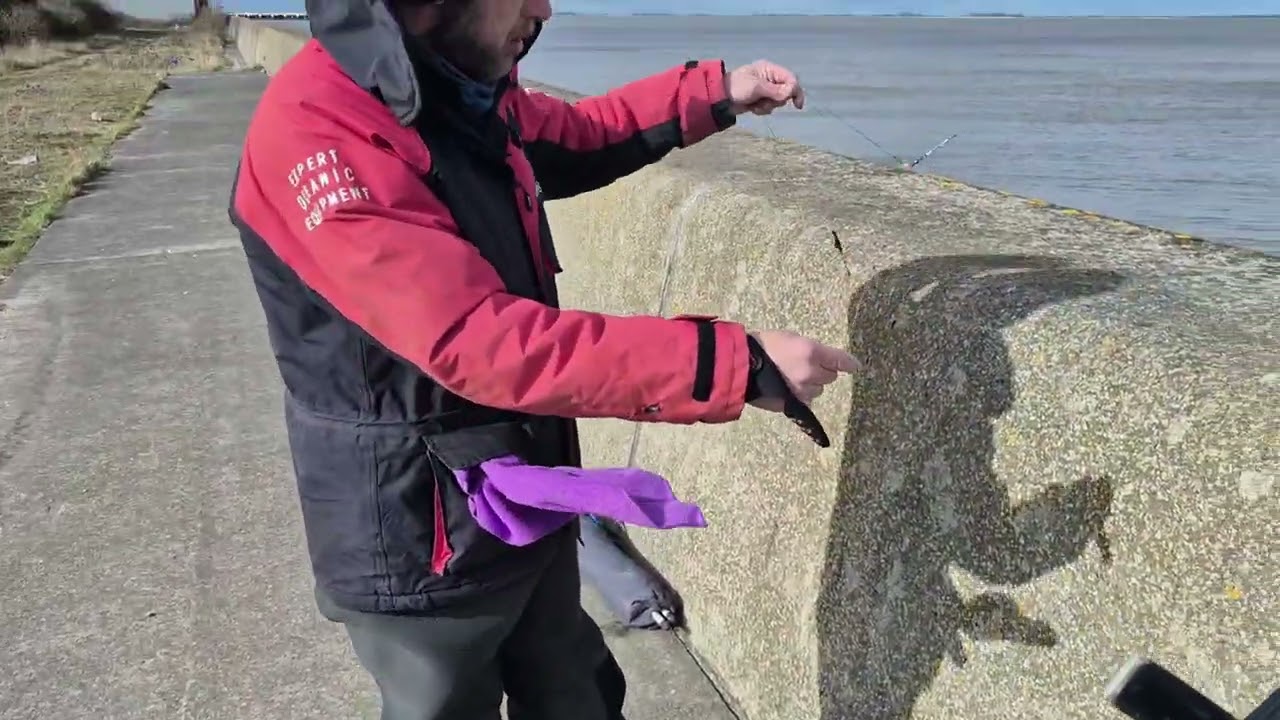 БЫСТРЫЙ 3-ЧАСОВОЙ СЕАНС ​​В СЕКРЕТНОМ МЕСТЕ