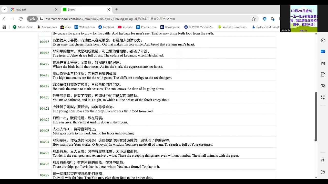 詩篇104篇