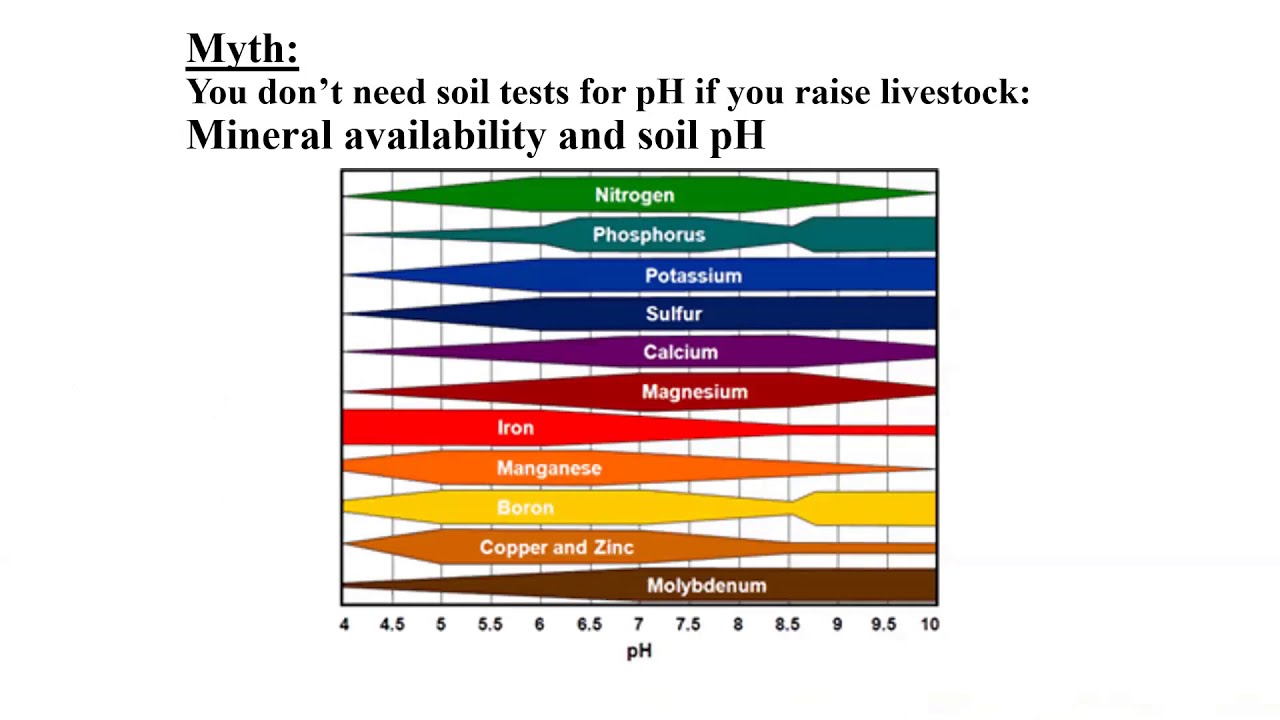 Minerals for Beef Cattle