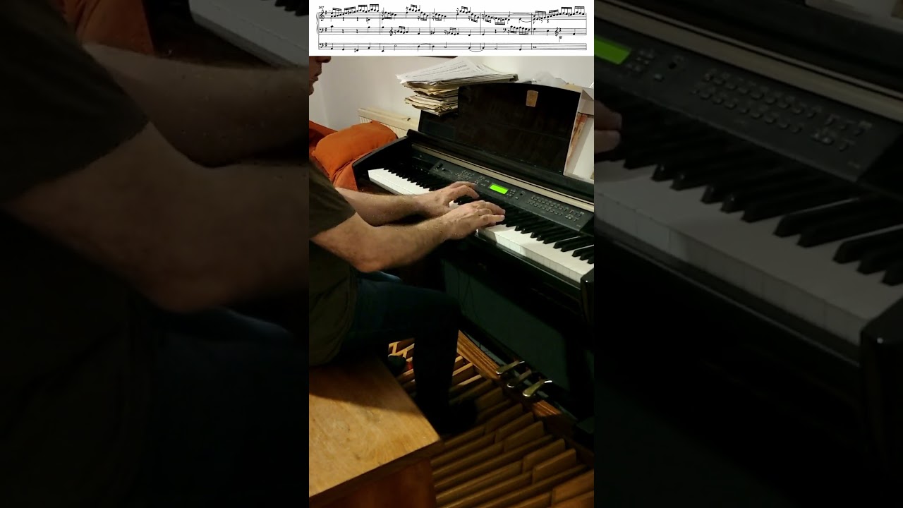 J S Bach - "Wedge" Fugue in E minor BWV 548ii - Crazy section! [Played from memory]