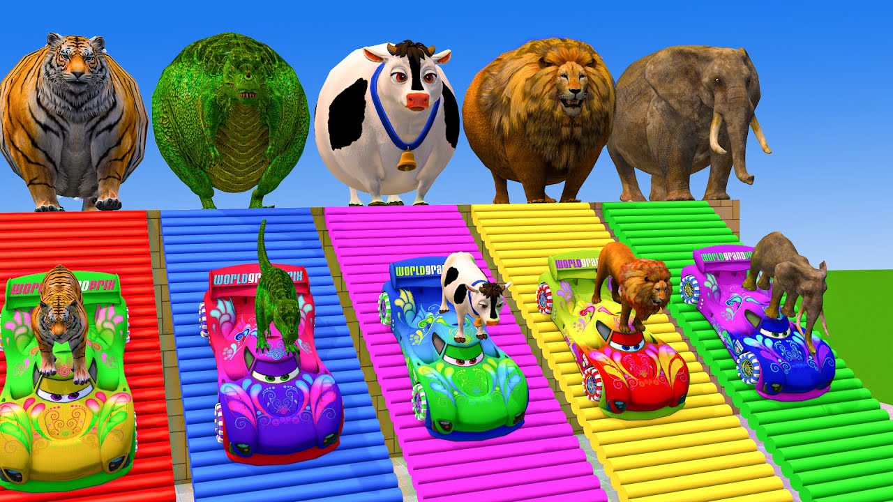Long Slide Game With Cow Elephant Gorilla Hippopotamus Tiger - 3d Animal Game - Funny 3d Animals