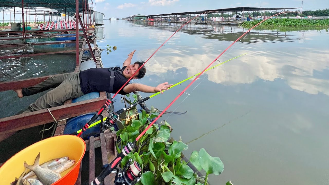 ✅ Câu cá thiên nhiên sông Vĩnh Long trên bè | DUY FISHING SAI GON