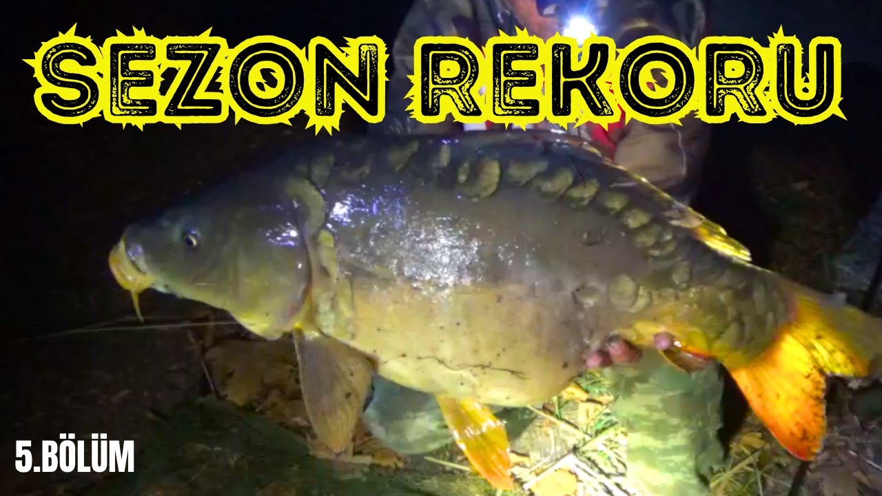 Çanakkale Sazan Avı Kampımız  | BAKİR GÖL 5.BÖLÜM | #fishing #carpfishing #camping