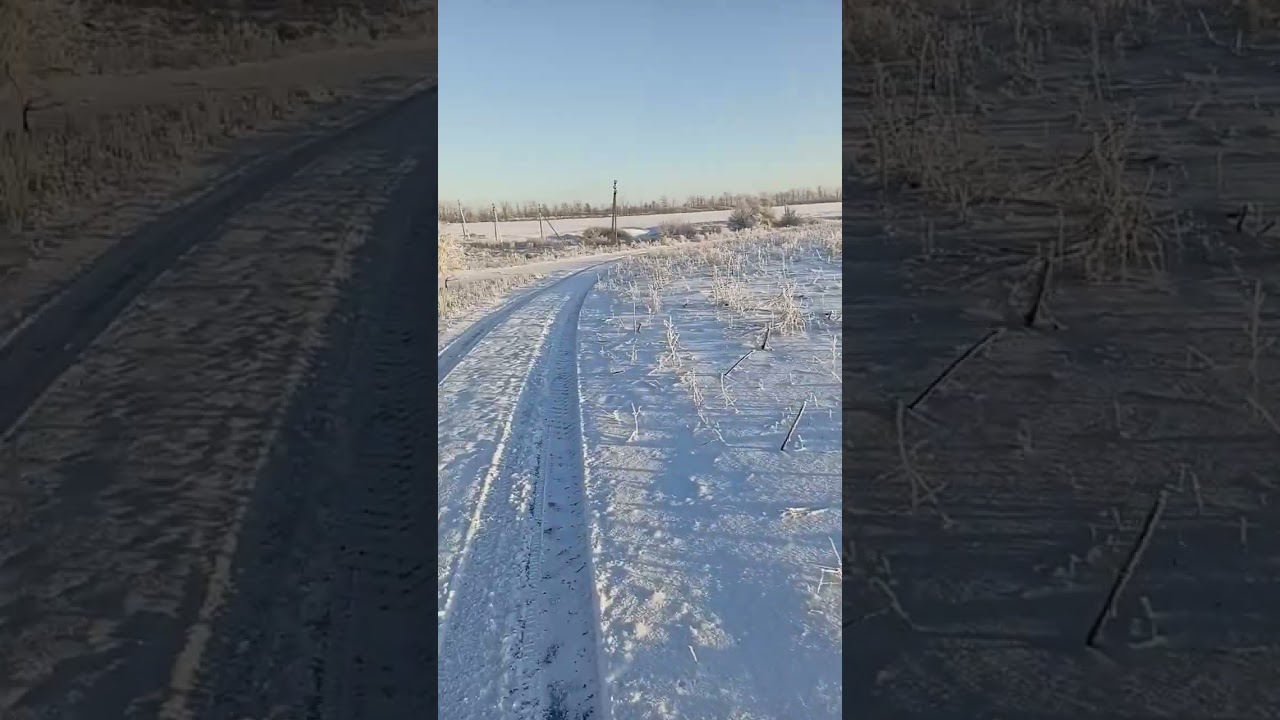 21 февраля 2026 г.