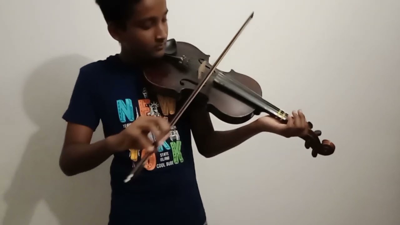 danno budunge violin cover