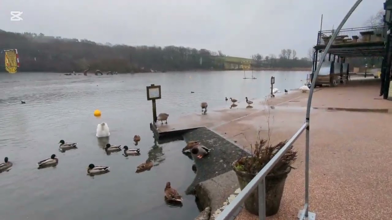 Lake Visit  |  Llandrindod Wells 🇬🇧