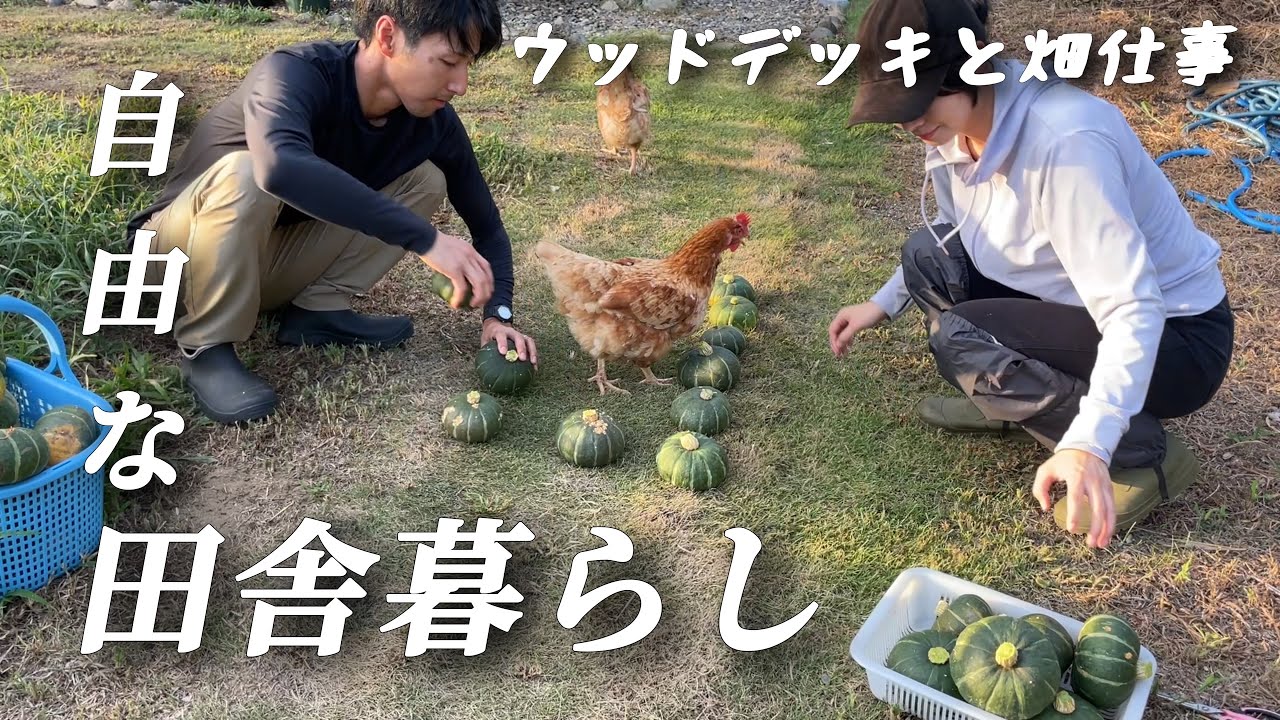 【田舎暮らし】犬と猫と鶏と猛暑の収穫夏祭り/小さな平屋生活【移住101】
