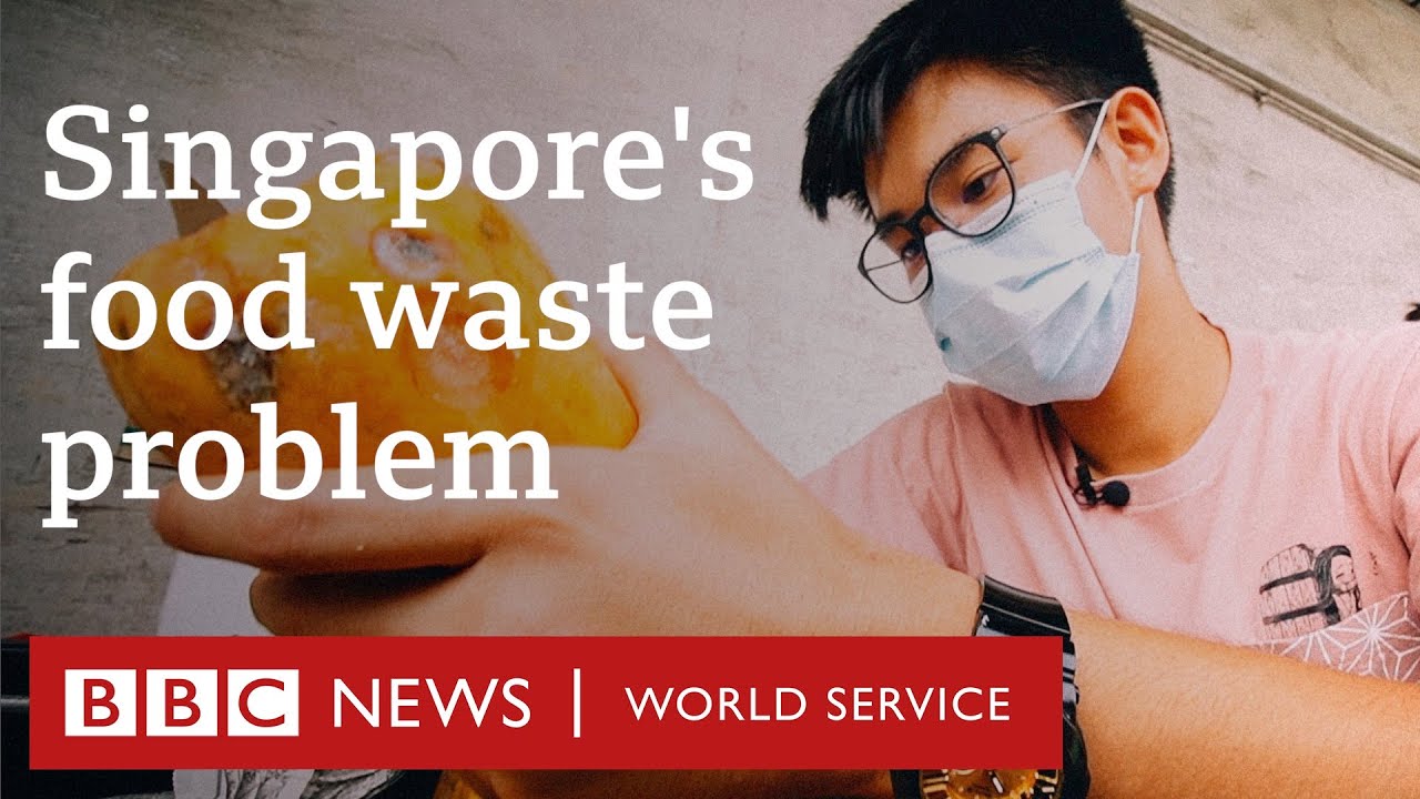 Solving Singapore's food waste problem