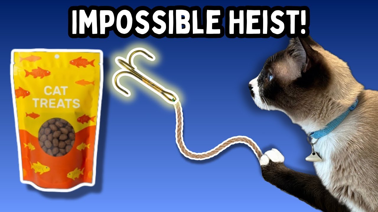 IMPOSSIBLE HEIST Cat Uses Grappling Hook To Steal Treats