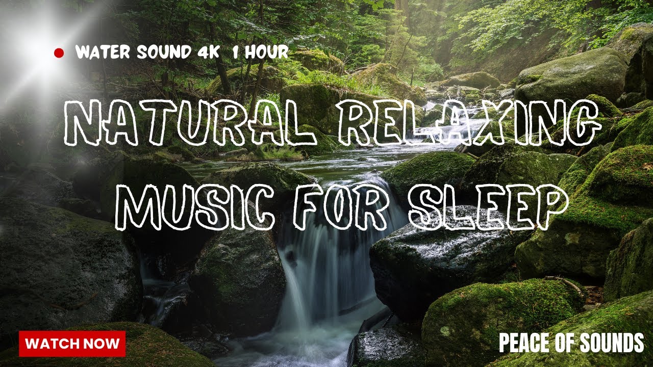 Finding peace in the simplest things with peace of sounds 🌿💖 Nature has a way of calming the soul 🌻