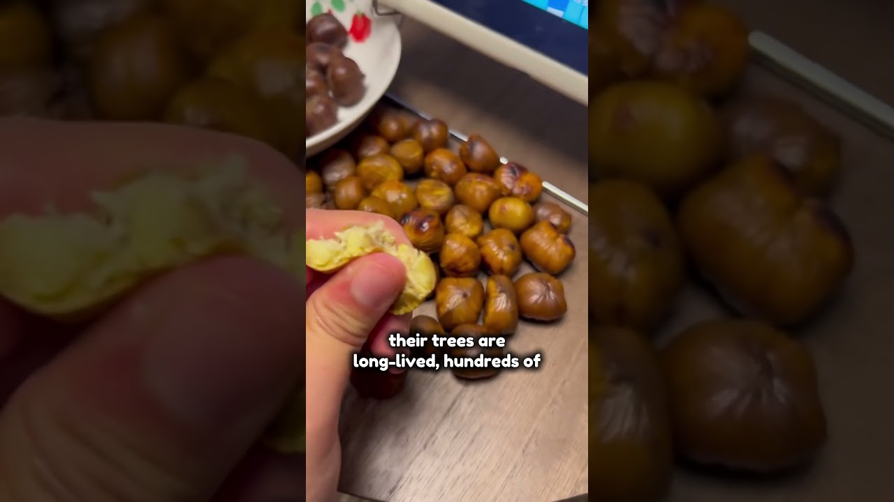 Rural Chestnuts! China is the biggest producer #shorts #fruit