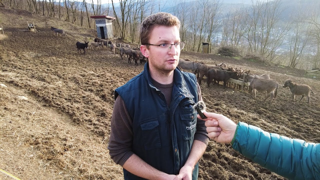 OSTAO I NIJE SE POKAJAO! Na mirnom mjestu razvio USPJEŠAN BIZNIS!