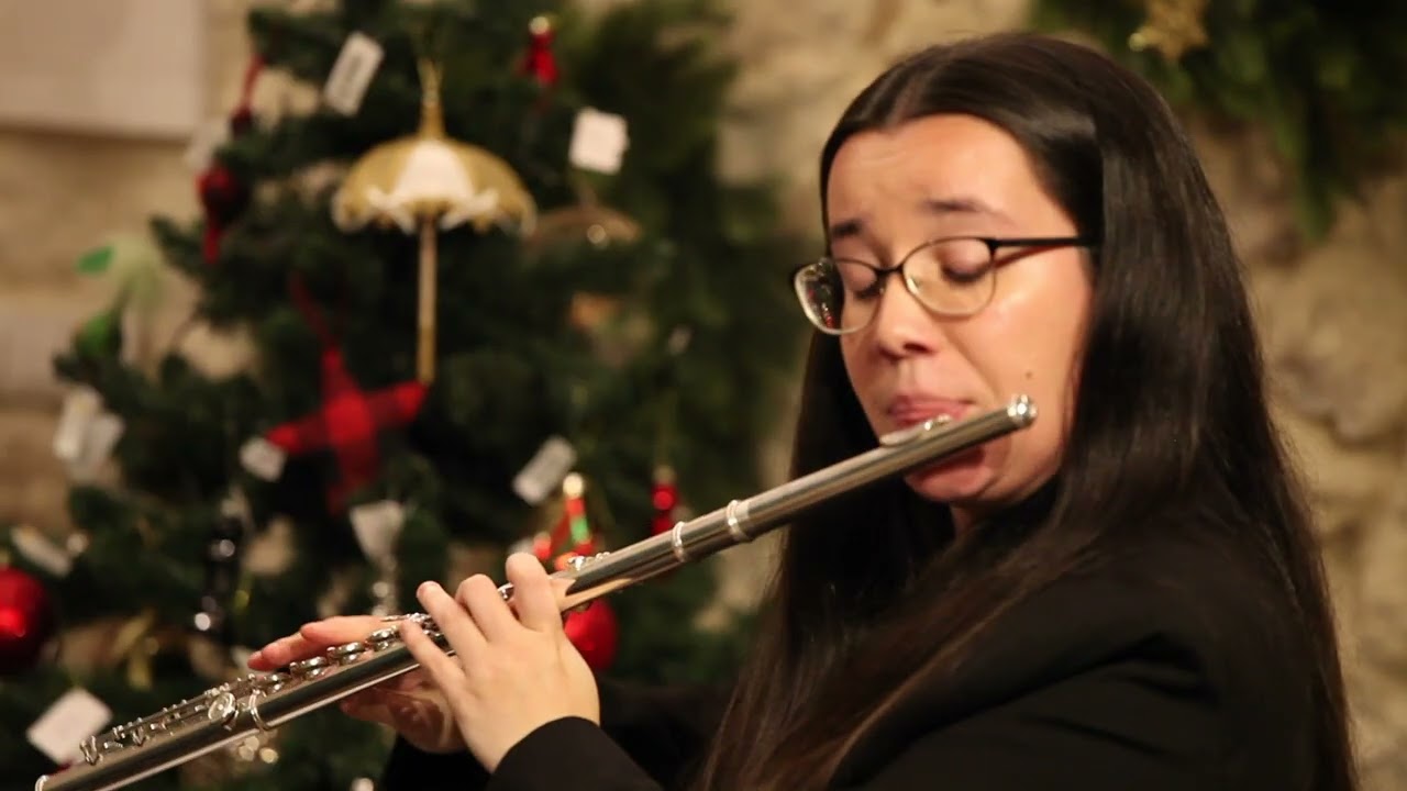 6 duets for 2 flutes, Op 75 No 6,  Wolfgang Amadeus Mozart
