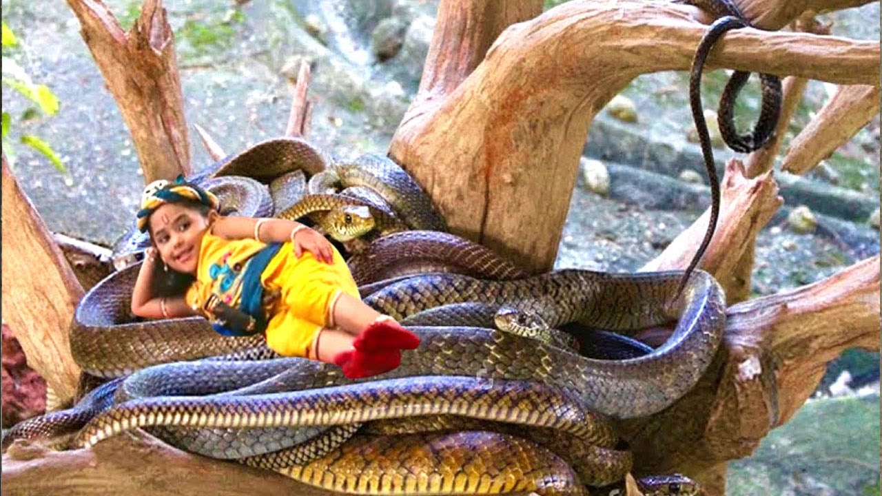 पेड़ पर डेरा जमाये सांपो को सैया बनाकर सो गये कान्हा @Mere Kanha