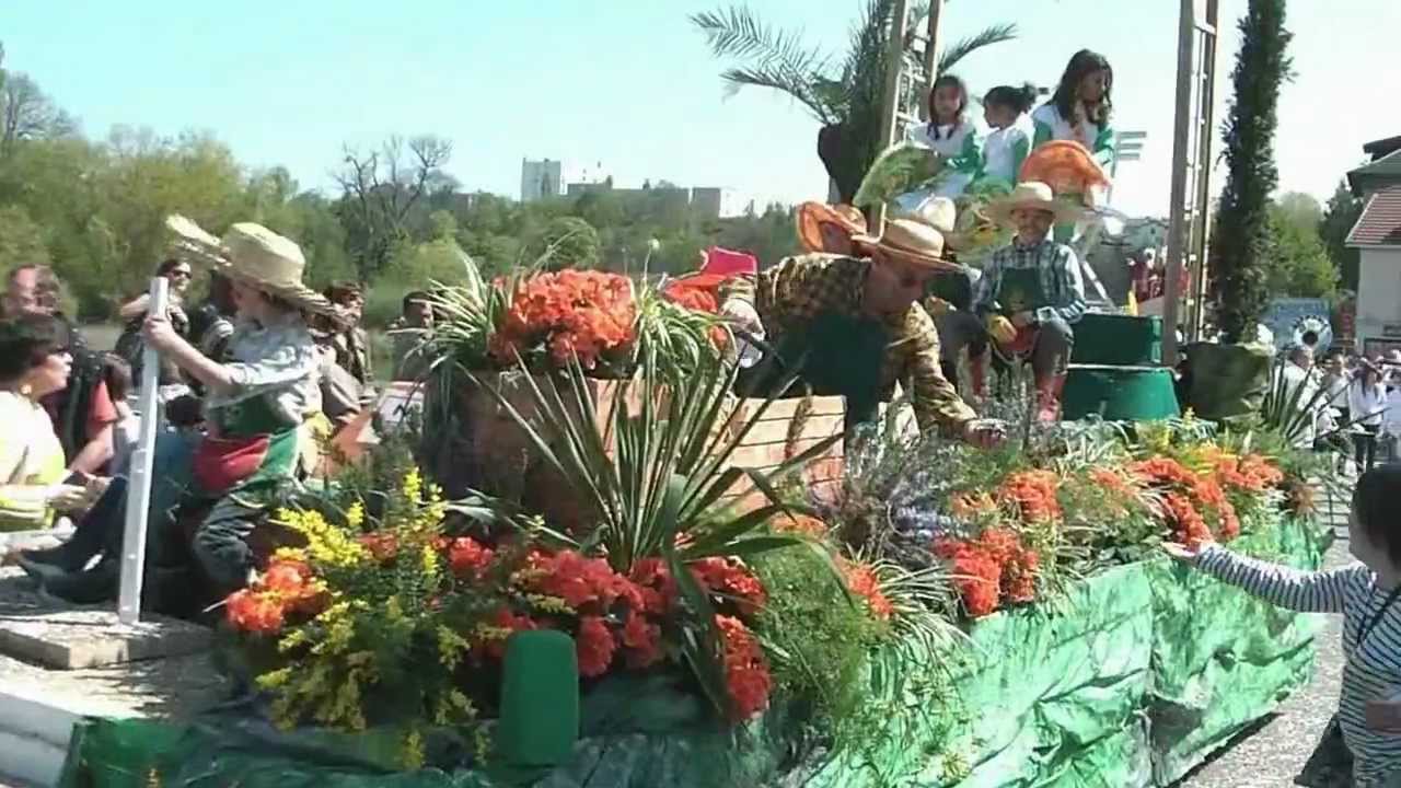Carnaval de Montbéliard 2011.mpeg