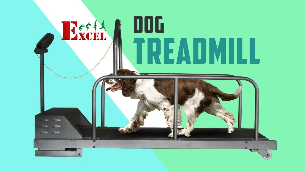 Excel Kennel Dog Treadmill - Best Dog Treadmill to Keep Your Dog Fit