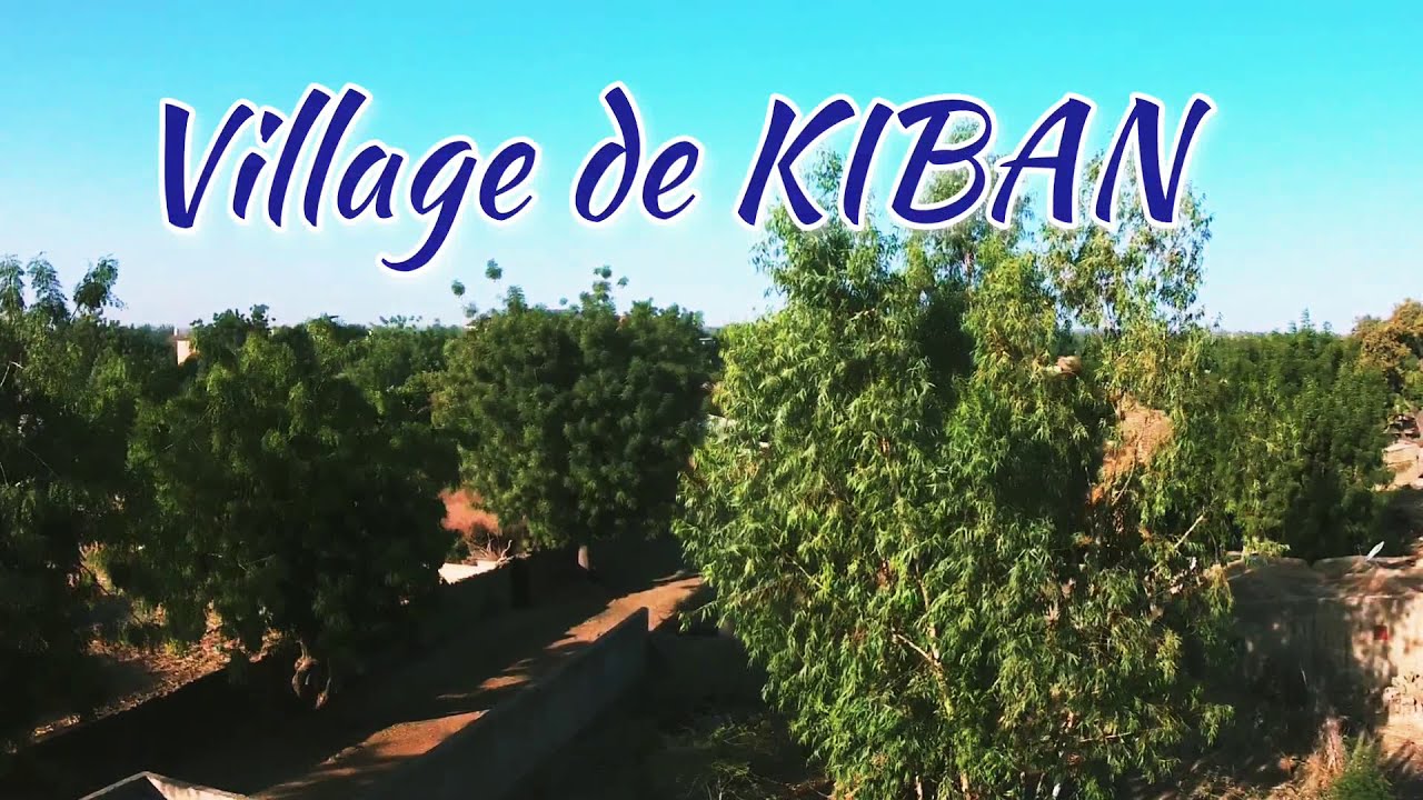 Village de Kiban, Cercle de Banamba, Région de Koulikoro - Mali - Afrique de l'ouest - Eachine EX4