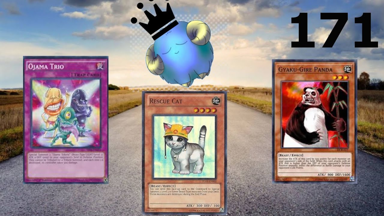 Road to Goat! Part 171: Cat VS Chaos!