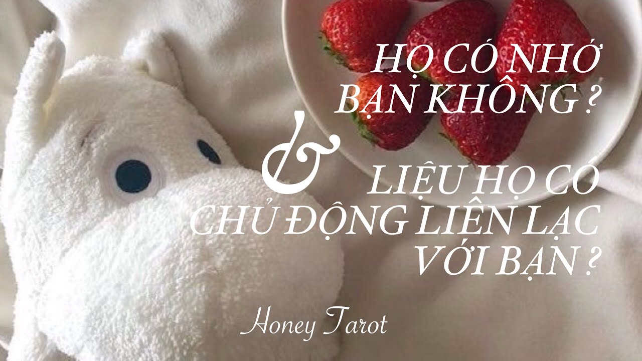 Chọn 1 tụ bài: HỌ CÓ NHỚ BẠN KHÔNG VÀ LIỆU HỌ CÓ CHỦ ĐỘNG LIÊN LẠC VỚI BẠN ?