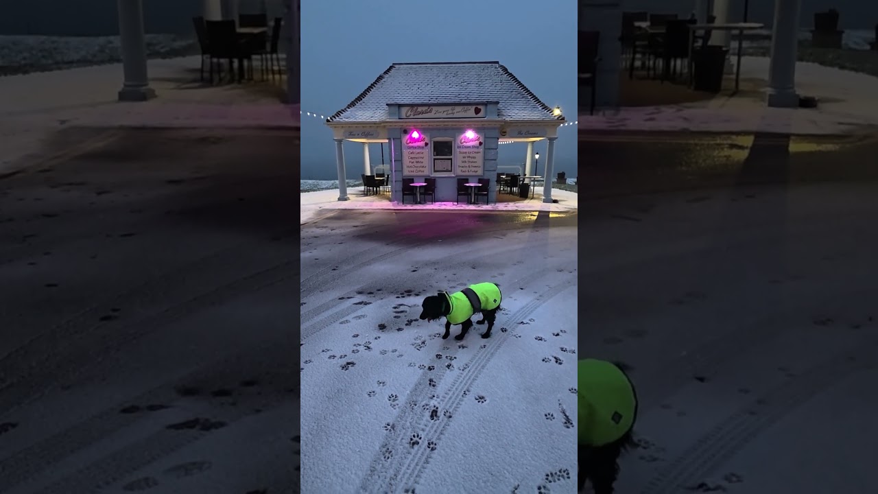 Hit chocolate and Indy  