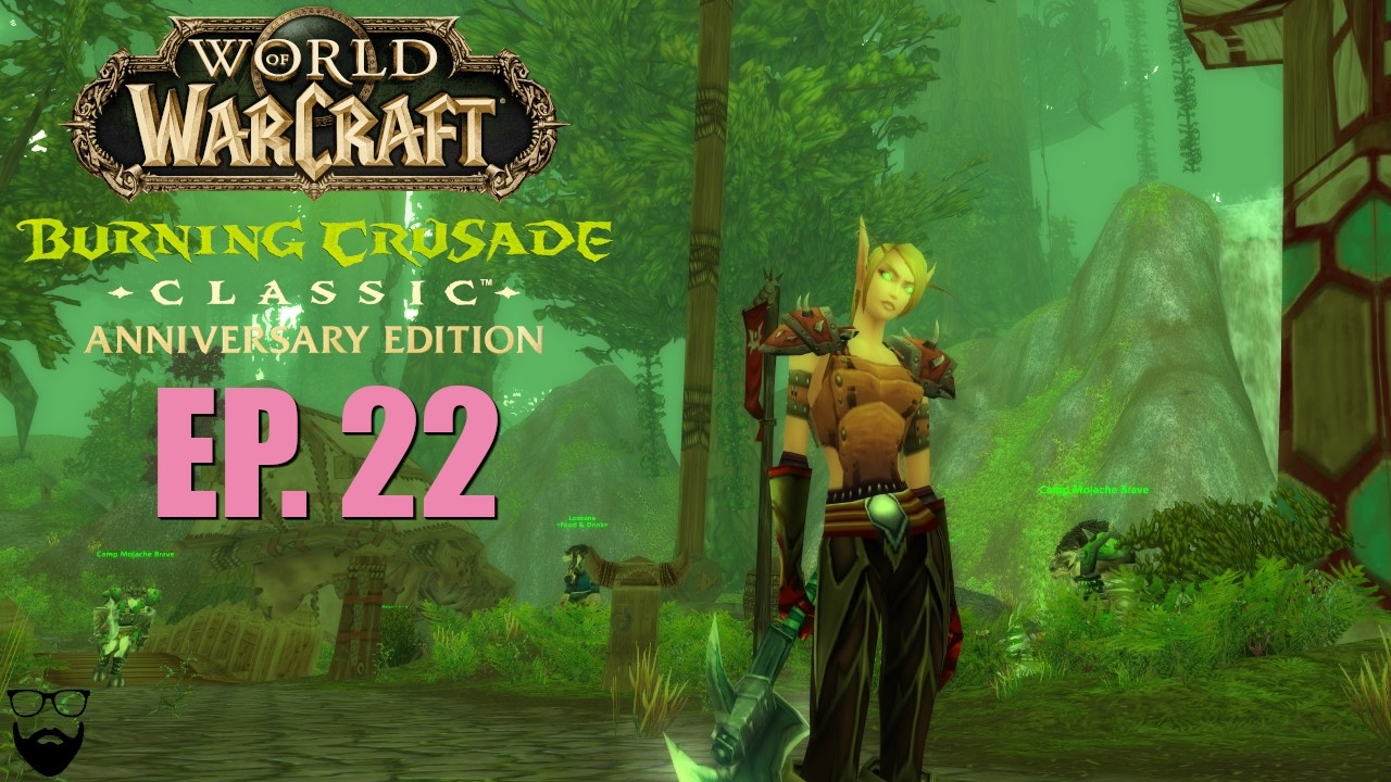 World of Warcraft The Burning Crusade Classic - BE Paladin - Pt 22 - Chill Leveling Gameplay