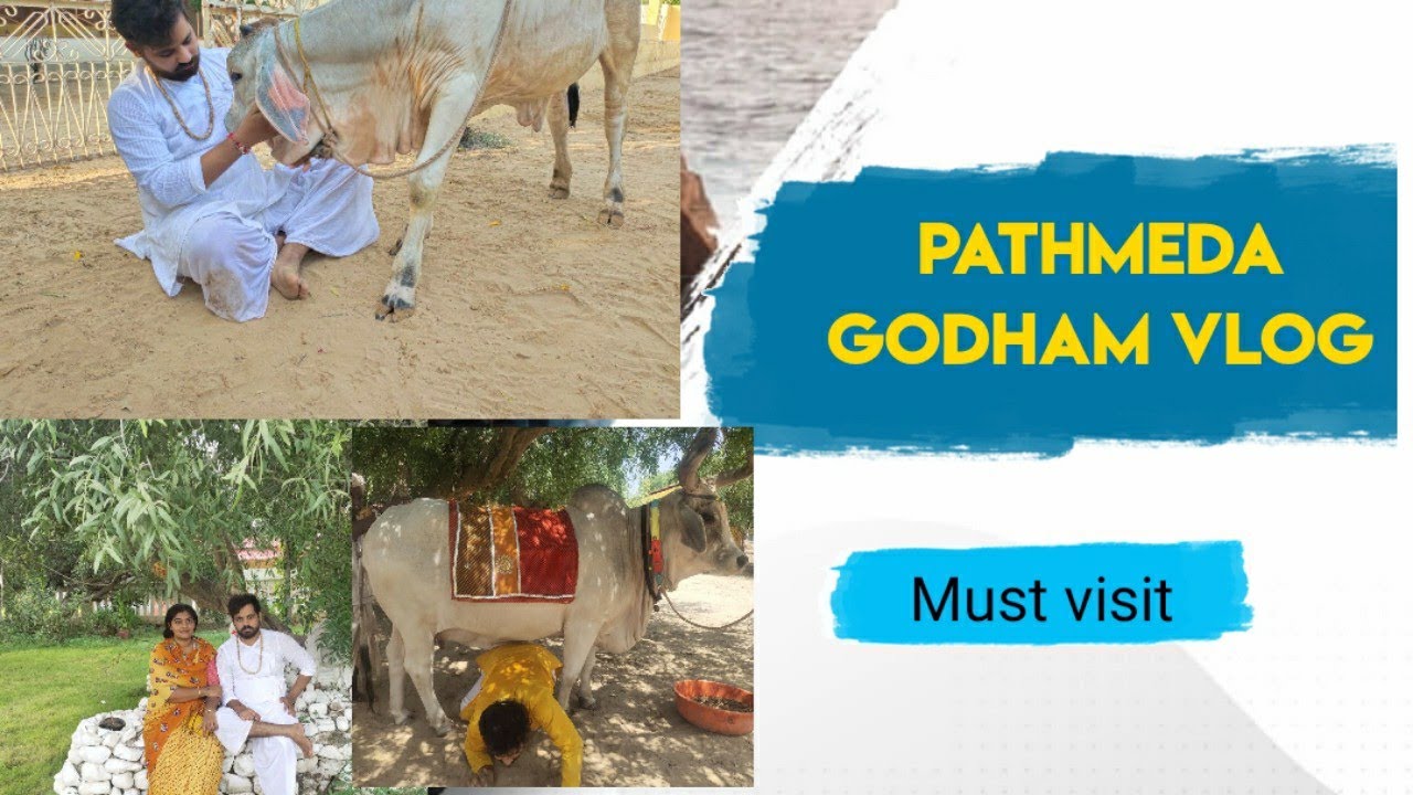 Pathmeda Godham vlog / Pathmeda Goshala / datta sarnanandji maharaj / Goseva / Mahendra speaks
