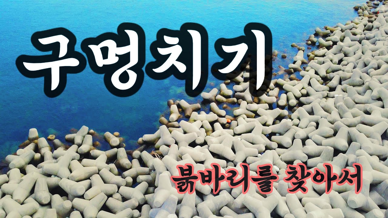 초보도 쉽게 잡는 방파제 테트라포드 구멍치기 낚시 영상