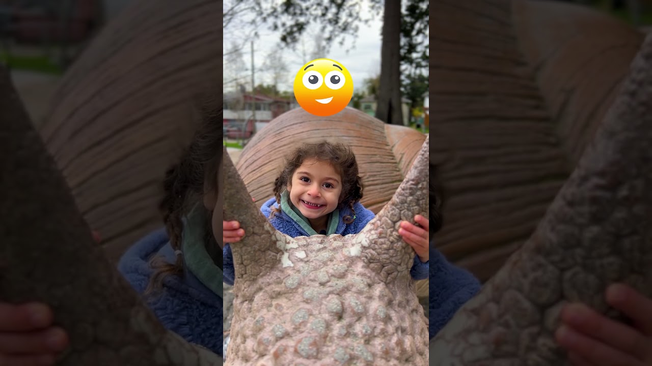 Opposite Words Challenge for Kids!