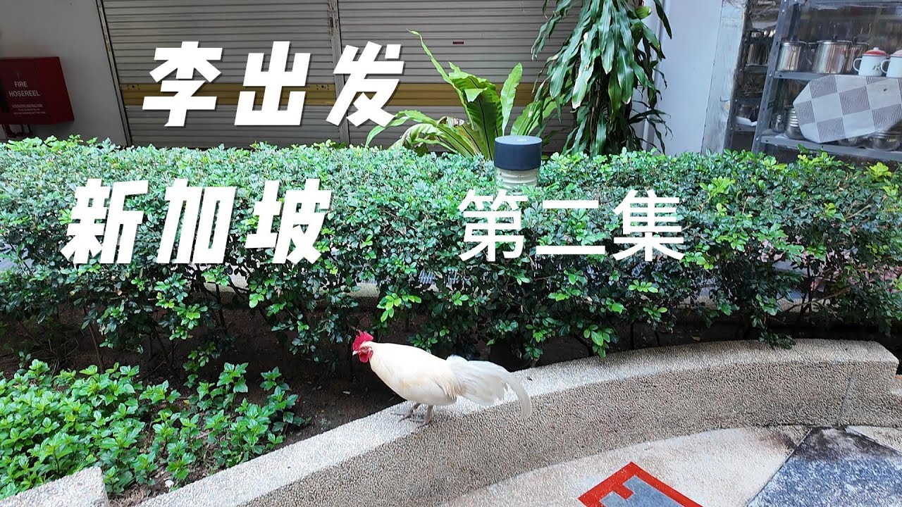 李出发 | 新加披没蚊子？新加坡旅游体验好吗？