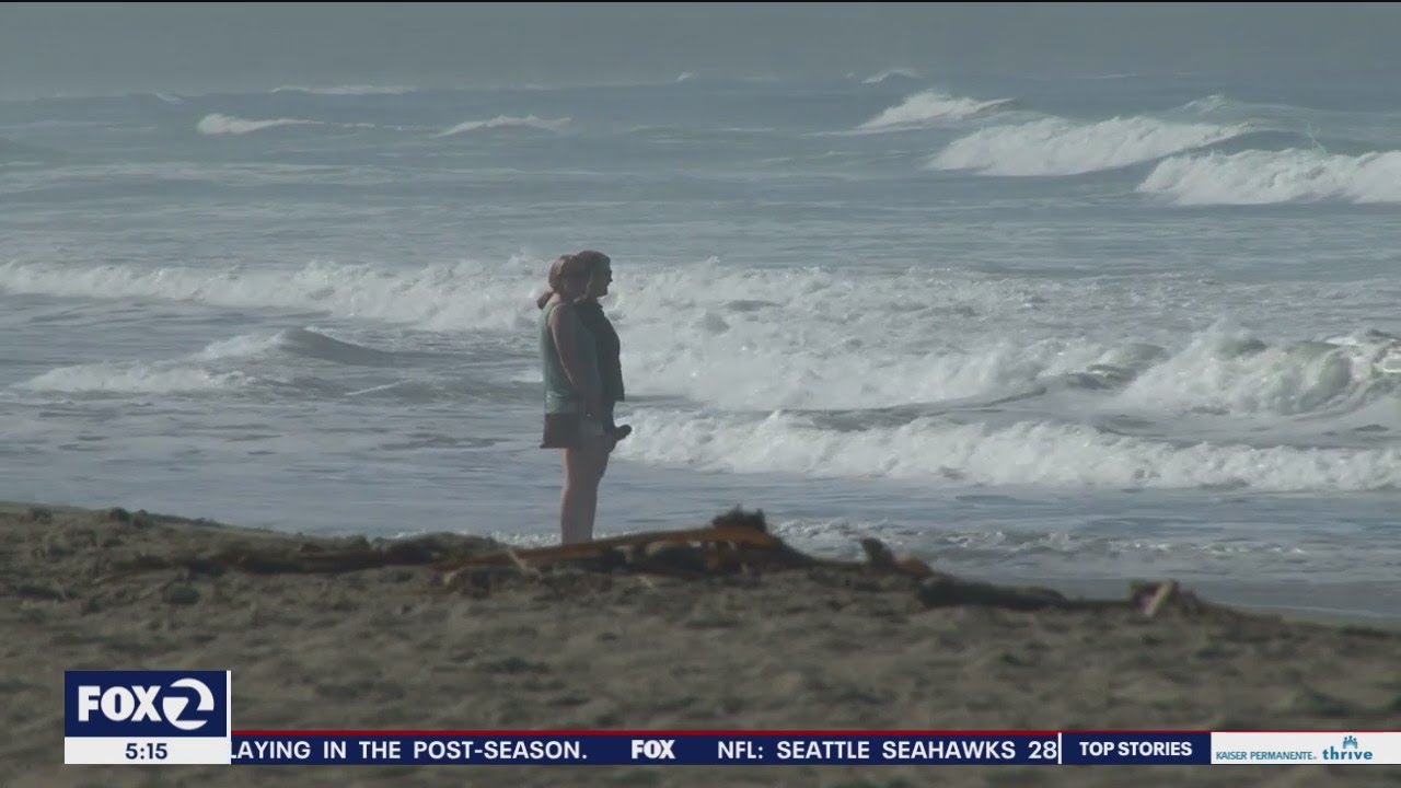Shark bites surfer at Bodega Bay beach