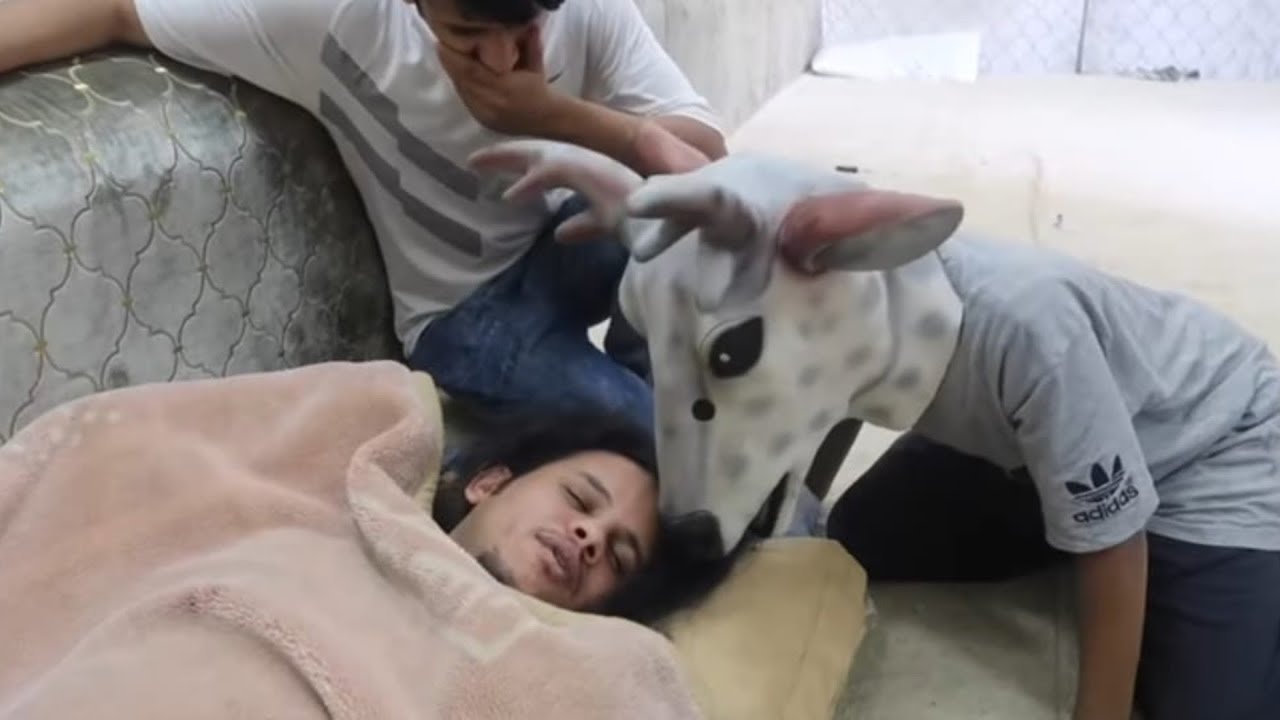 سوينا مقلب  الوحش في شريده وهو نايم ! راح يبكي 😂😱