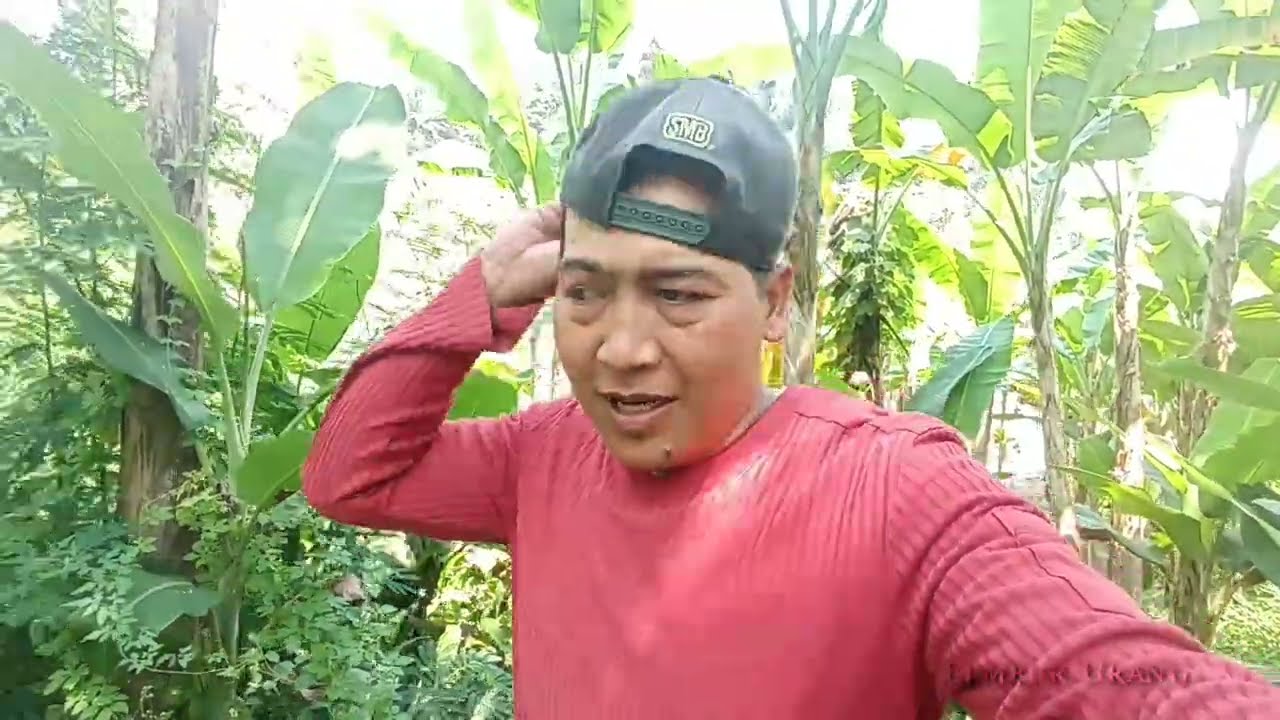 GA DI Sangka Sungai Citarum Akan Seperti Ini BIKIN HEBOH warga Jabar Merah Putih ber...