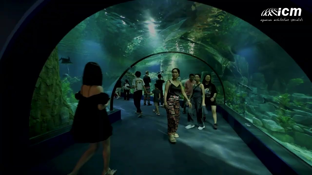 Lotte World Aquarium Hanoi, Vietnam - A Masterpiece by ICM Corporation