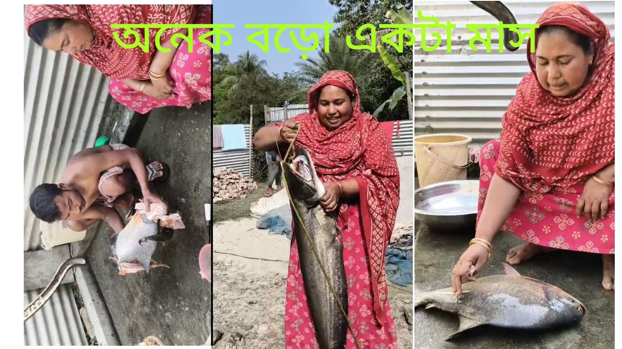 অনেক বড়ো একটা মাস#viral#villagerlifestyle #popular #cooking #recipe #minivlog #fishing #fish #trnd 