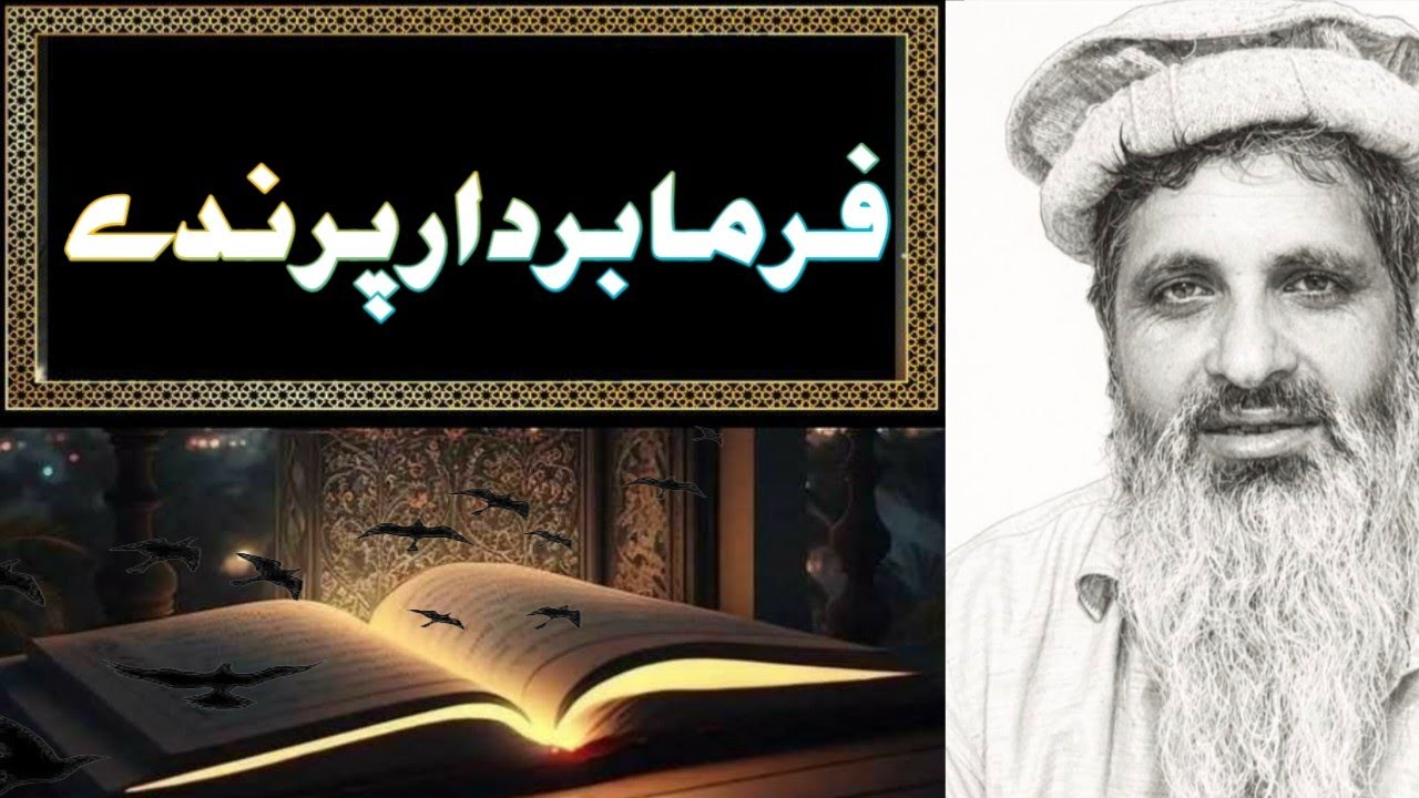 Surh Al Noor ayat number 41:42 (فرمابردار پرندے) رب کی رحمت والا راستہ #Islamic scholar channel#fyp 