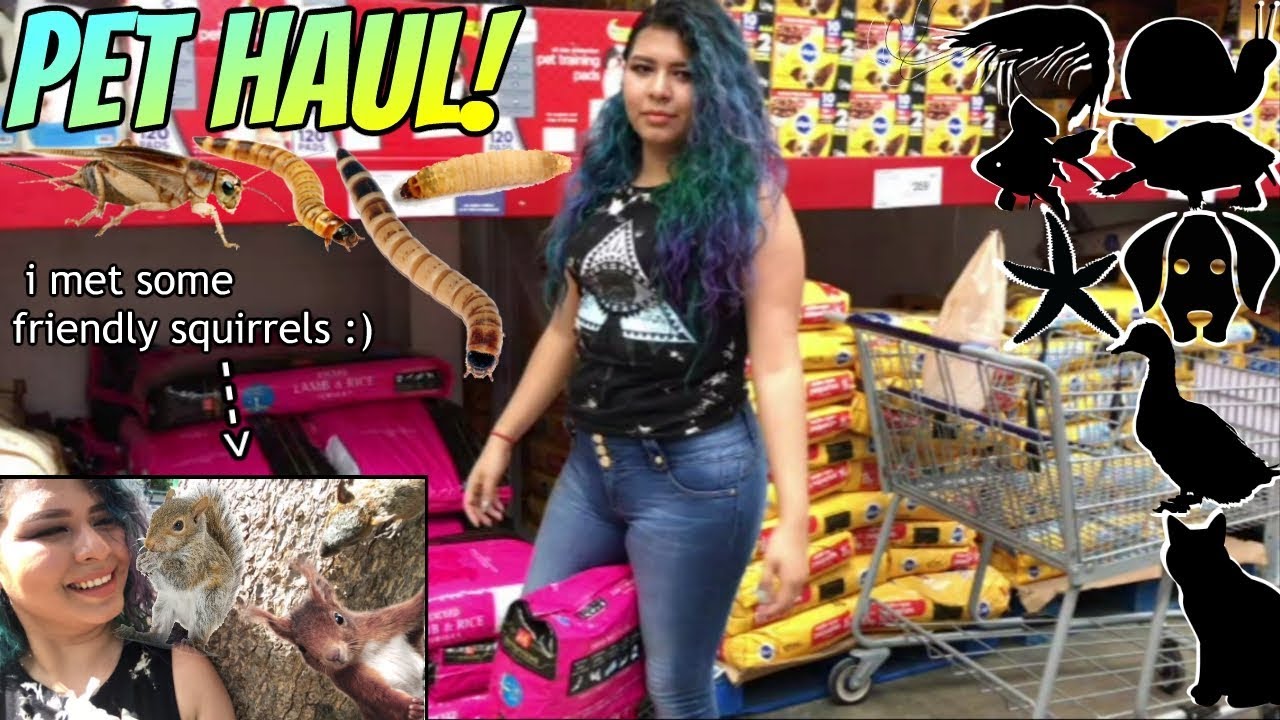 COME SHOPPING WITH ME! buying food for all my pets (PET HAUL)
