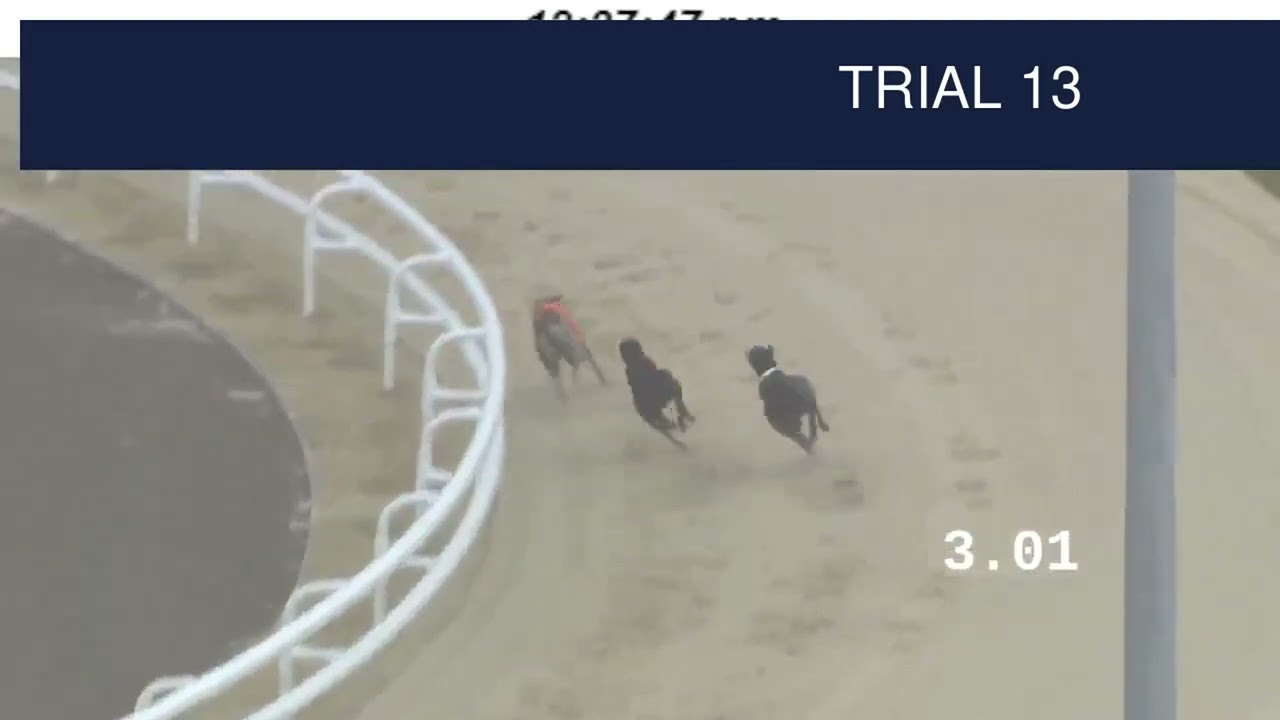 Dunstall Park Trials on 27th August 2025