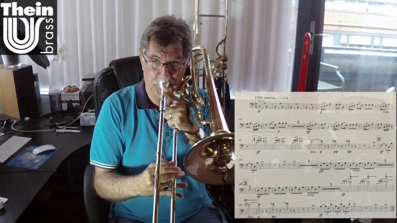 Ben van Dijk - bass trombone Hary Janos 