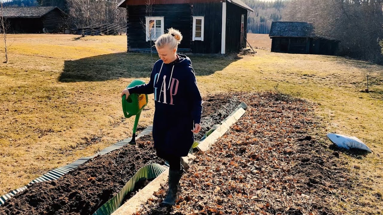 #6 Kanalan rakentaminen alkaa. Ensi istutukset kasvimaalle. Tästä alkaa satokausi 2023!