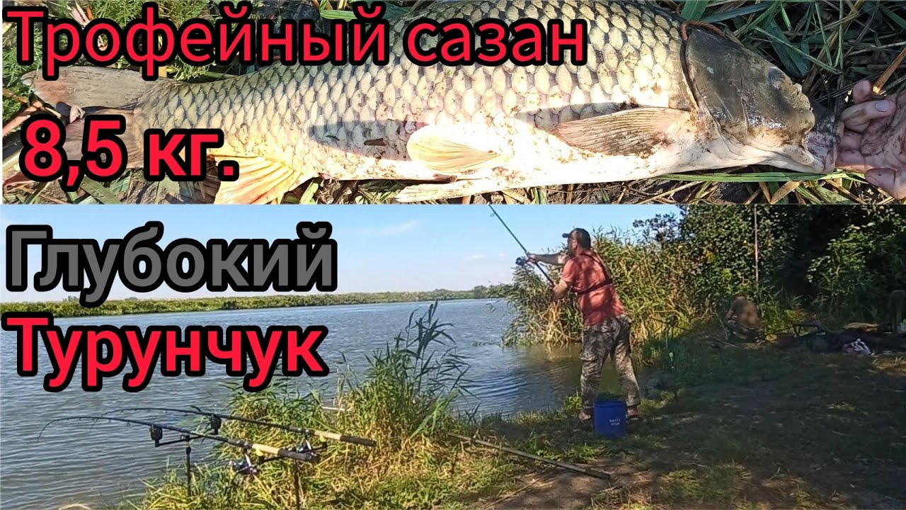 Рыбалка на Глубоком Турунчуке.Днестр.Трофейный ночной сазан Ромы#рыбалка2023#днестр#сазан#трофей
