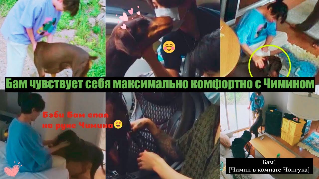 Чон Бам чувствует себя наиболее комфортно с Чимином! Чигуки и Бам во втором сезоне 