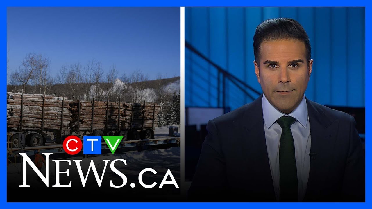 Canada's plan to blunt Trump's tariff blow | CTV National News at 11 for Tuesday Jan. 28, 2025