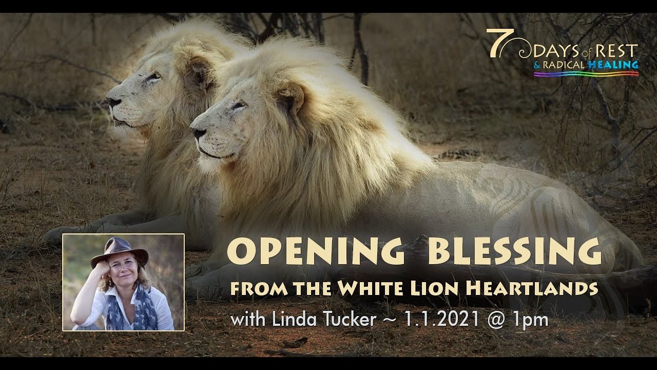 Opening Blessing from the White Lion Heartlands with Linda Tucker