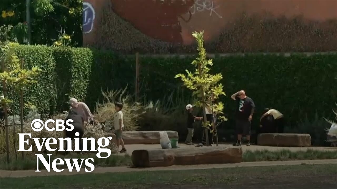 School cools playground by 40 degrees after replacing asphalt with grass