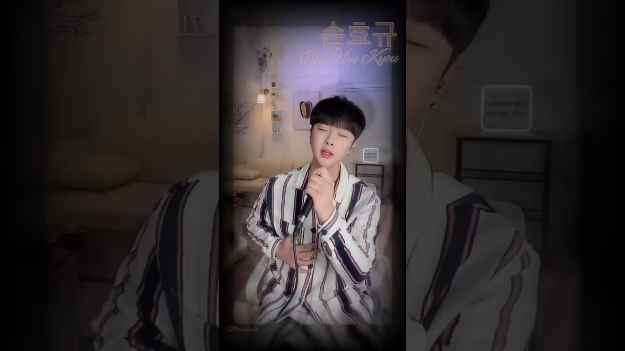 손효규 SonHyokyou singer_son